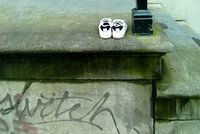 Amsterdams (stil)leven aan de gracht: urban jungle