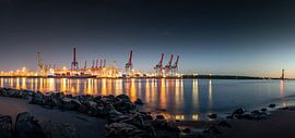 Illuminated harbour with container cranes at night by Jonas Weinitschke