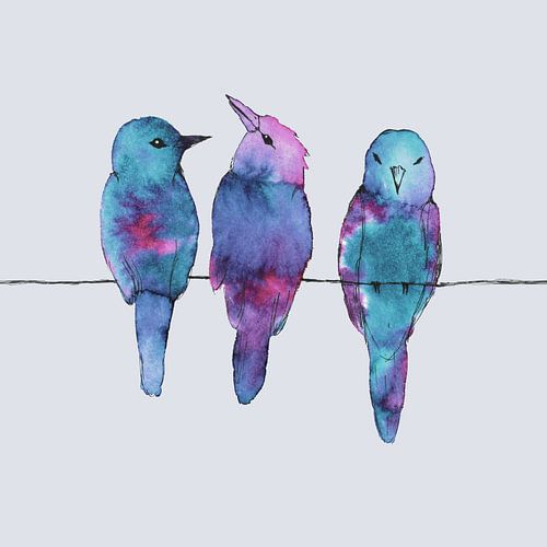 Drie vogels op een draad