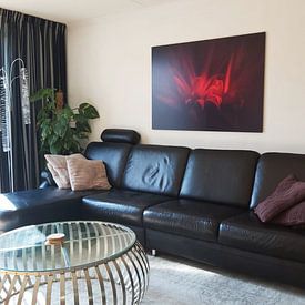 Customer photo: Red details by Sandra Hazes