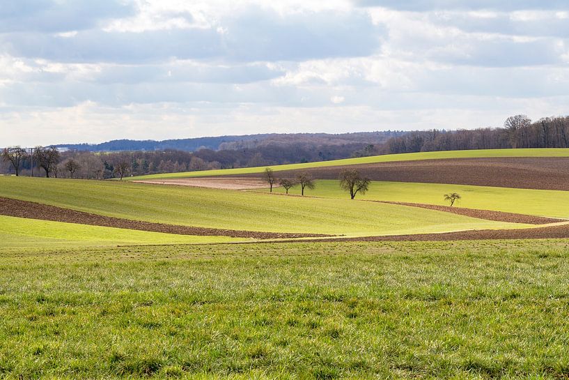Idyllic agricultural landscape in early spring by Achim Prill