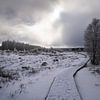 Hohes Venn, Belgien, Europa von Alexander Ludwig