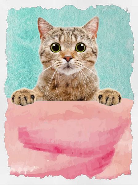 SHY CAT von Rizal Azhari