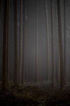 Mist Giants by Matthias Ettinger