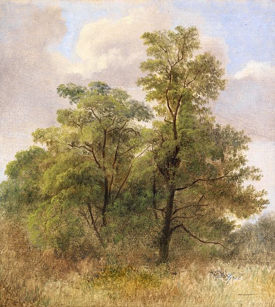 Baumstudie, CARL SPITZWEG, Ca. 1831-1835 von Atelier Liesjes
