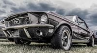 Ford Mustang,The Beast van Ans Bastiaanssen thumbnail