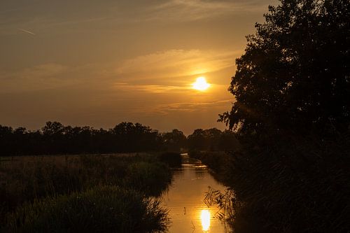 Coucher de soleil orange avec fossé et arbres sur la droite.