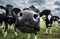 De koe van Boer Janmaat, Barwoutswaarder van paul snijders thumbnail