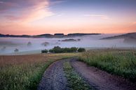 Odenwälder Landschaft im  Morgennebel von Yvonne Albe Miniaturansicht
