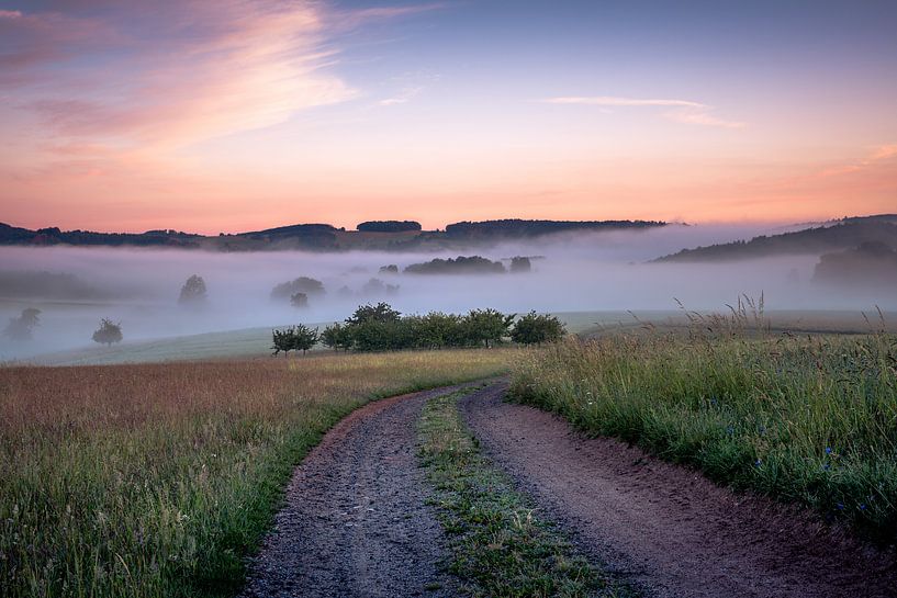 Odenwälder Landschaft im  Morgennebel von Yvonne Albe