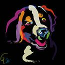 Dog Iggy Color Me Bright by Go van Kampen thumbnail