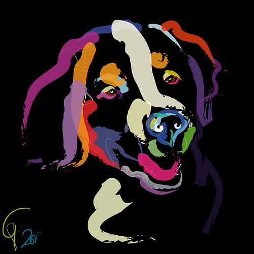 Chien Iggy Colour Me clair