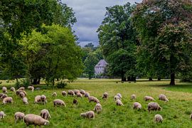 Willkommen im Ilmpark der Klassikerstadt Weimar von Oliver Hlavaty