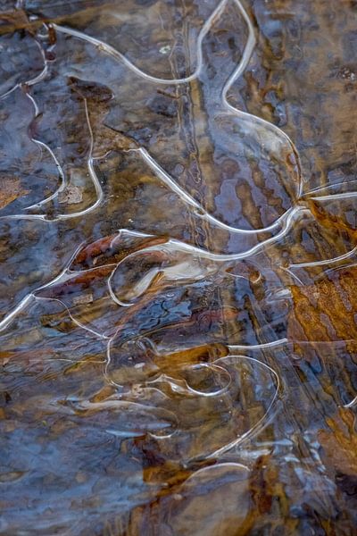 Abstract ice sculpture by Betty van Engelen