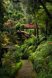 Jardins tropicaux du De Monte Palace, Madère