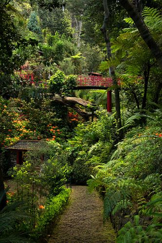 De Monte Palace Tropische Gärten, Madeira von Nynke Altenburg