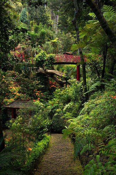 De Monte Palace Tropical Gardens, Madeira by Nynke Altenburg