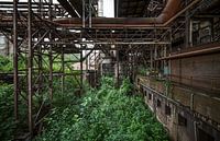 Rust and green