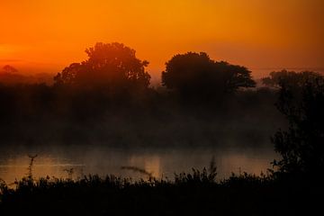 Zonsopgang Kruger Nationaal Park III van Meleah Fotografie