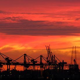 Industrial Sunset by Joris Vand