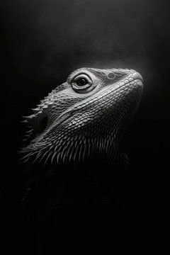 Hagedis van Poster Art Shop