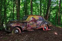 OldTimer in het bos