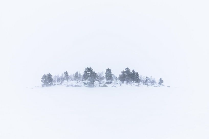 Tempête de neige 1 par Idphotography