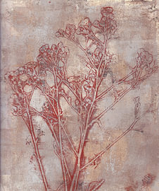Abstract monoprint of wild flowers in shades of beige and red