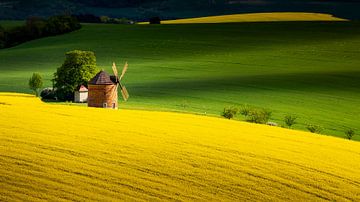 Moravian Tuscany, Czech Republic van Adelheid Smitt