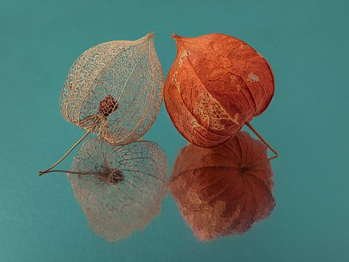 So happy together: Twee lampionnetjes samen met turquoise / petrol achtergrond