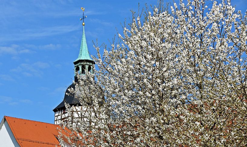 de stadstoren in Backnang in de lente van Werner Lehmann