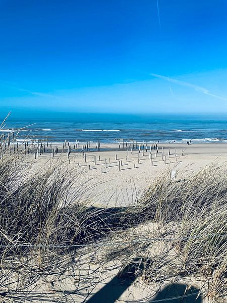 Beach of Petten by Klazina Visser