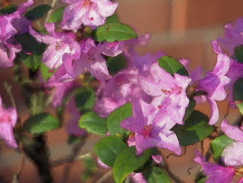 paars 2 van Edgar Schermaul