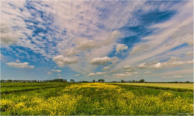 Hollandse luchten boven Lagerak par Eibert den Hengst