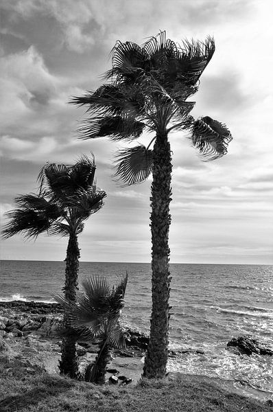 Brisa Moraira Alicante by Fons Hayes