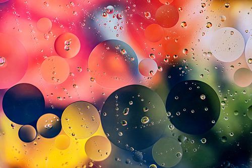Oil droplets in water