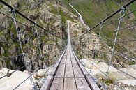 Trift brug Zwitserland par Dennis van de Water Aperçu