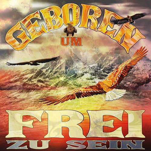 Born to be Free - Adelaars en Bergen