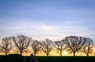Silhouet van bomen van Johan Vanbockryck thumbnail