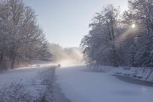 Promenade dans la neige Forêt d'Amsrerdam