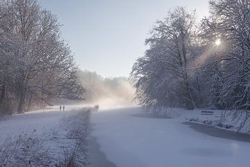 Schneewanderung Amsrerdam Wald