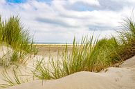 Duinen bij het strand van Terschelling in de zomer van Sjoerd van der Wal thumbnail