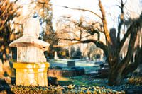 cimetière des rêves
