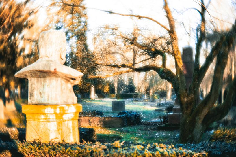 dream graveyard by Wim de Vos