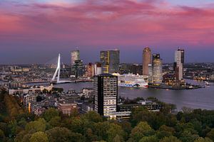 Erasmusbrücke und Kop van Zuid vom Euromast aus