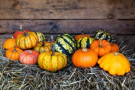 Pumpkin medley by Thomas Herzog