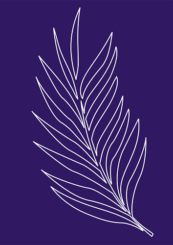 Minimalistische Natur & Abstrakte Illustration Sammlung