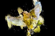 Pestvogel - Digital art uitvoering - Zwart - Roze van Gianni Argese thumbnail