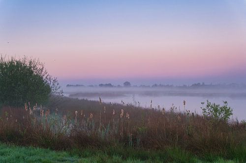 Mistige zonsopkomst in het Bargerveen