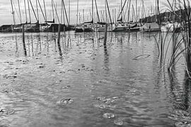 Pier met zeilboten in kalm meer van Frank Heinz